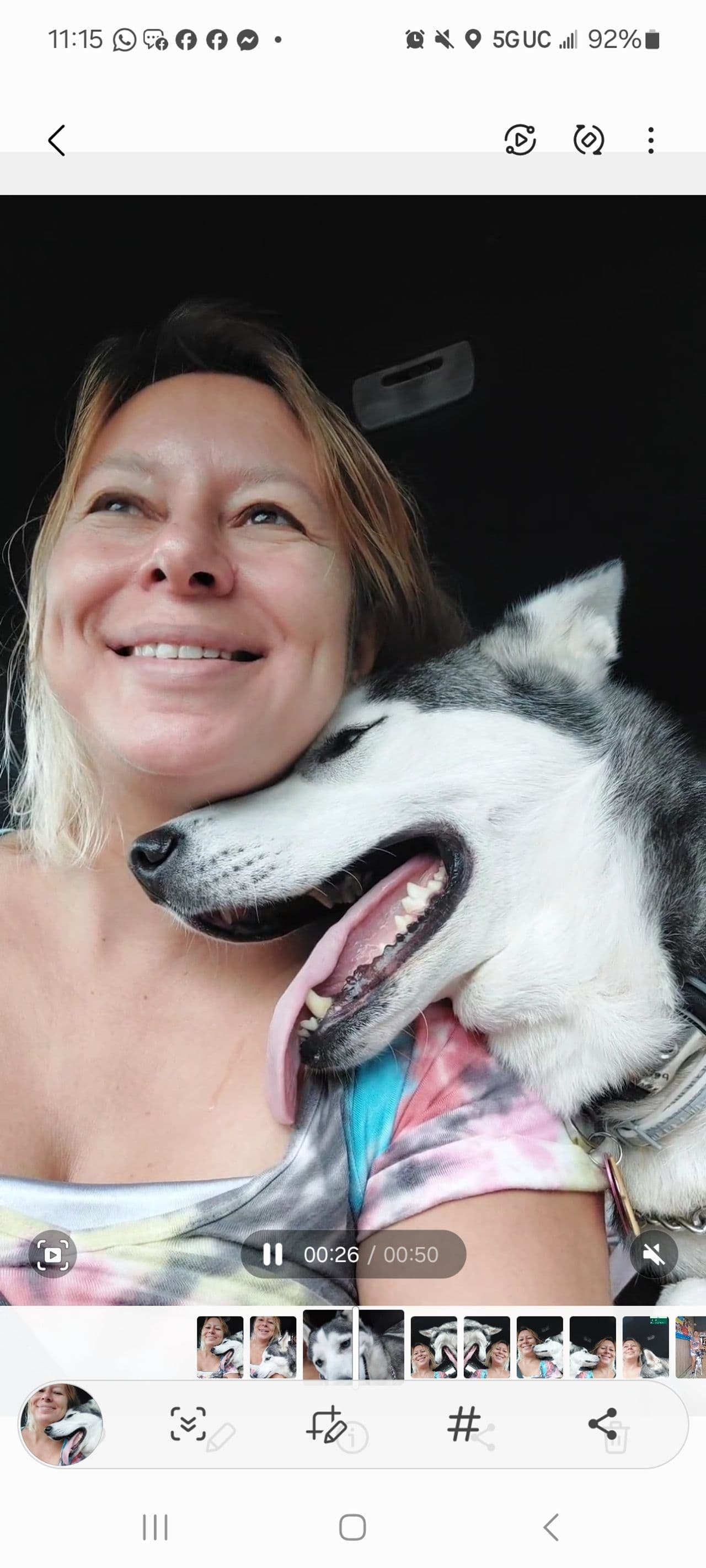 Pet travel photo 5