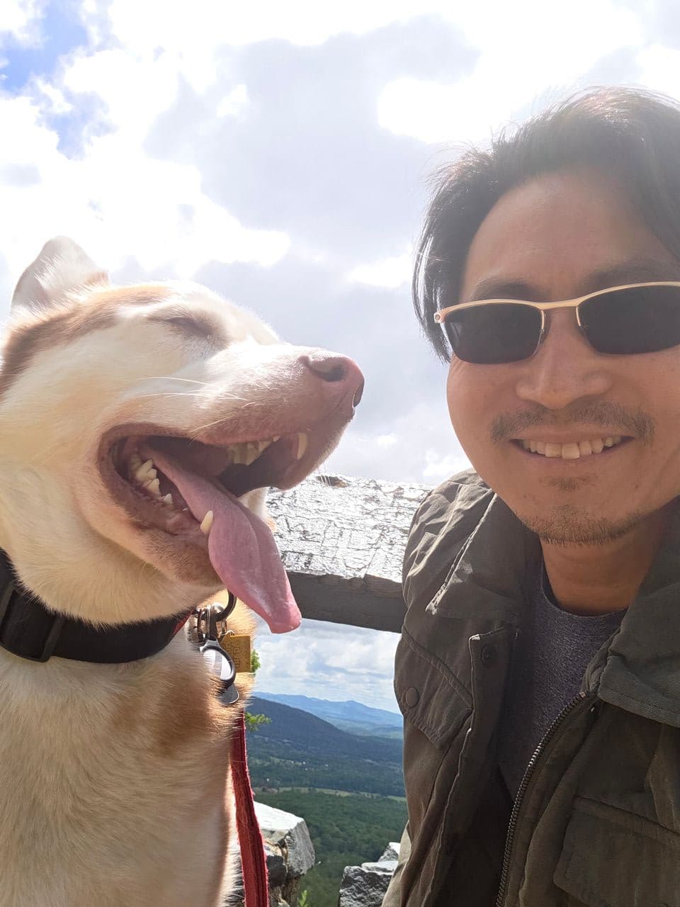 Pet travel photo 5
