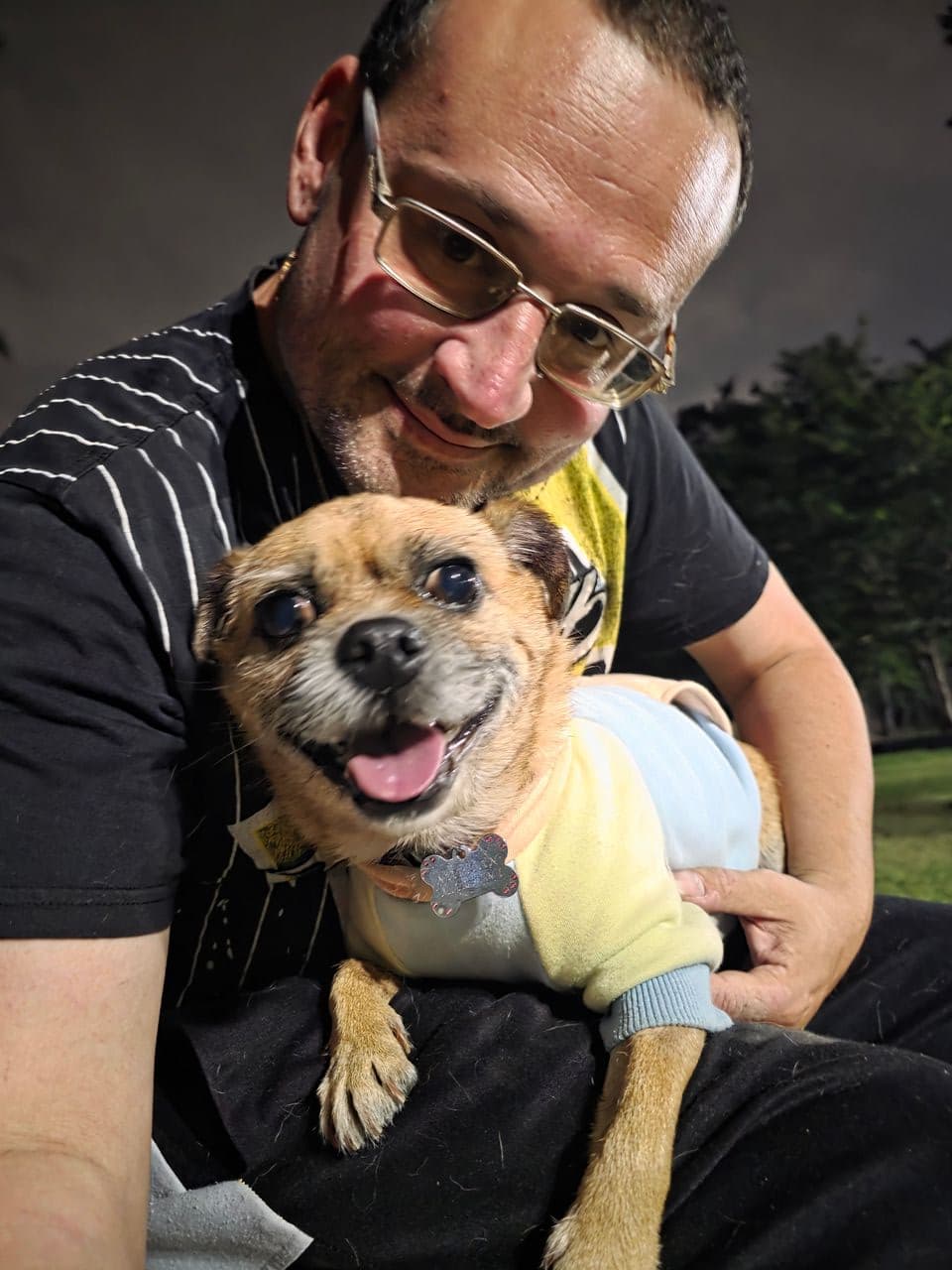 Pet travel photo 3