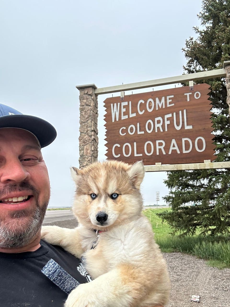 Pet travel photo 3