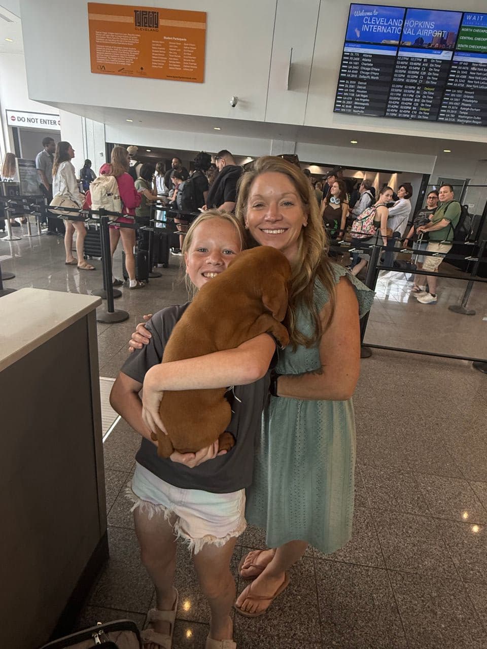 Pet travel photo 2