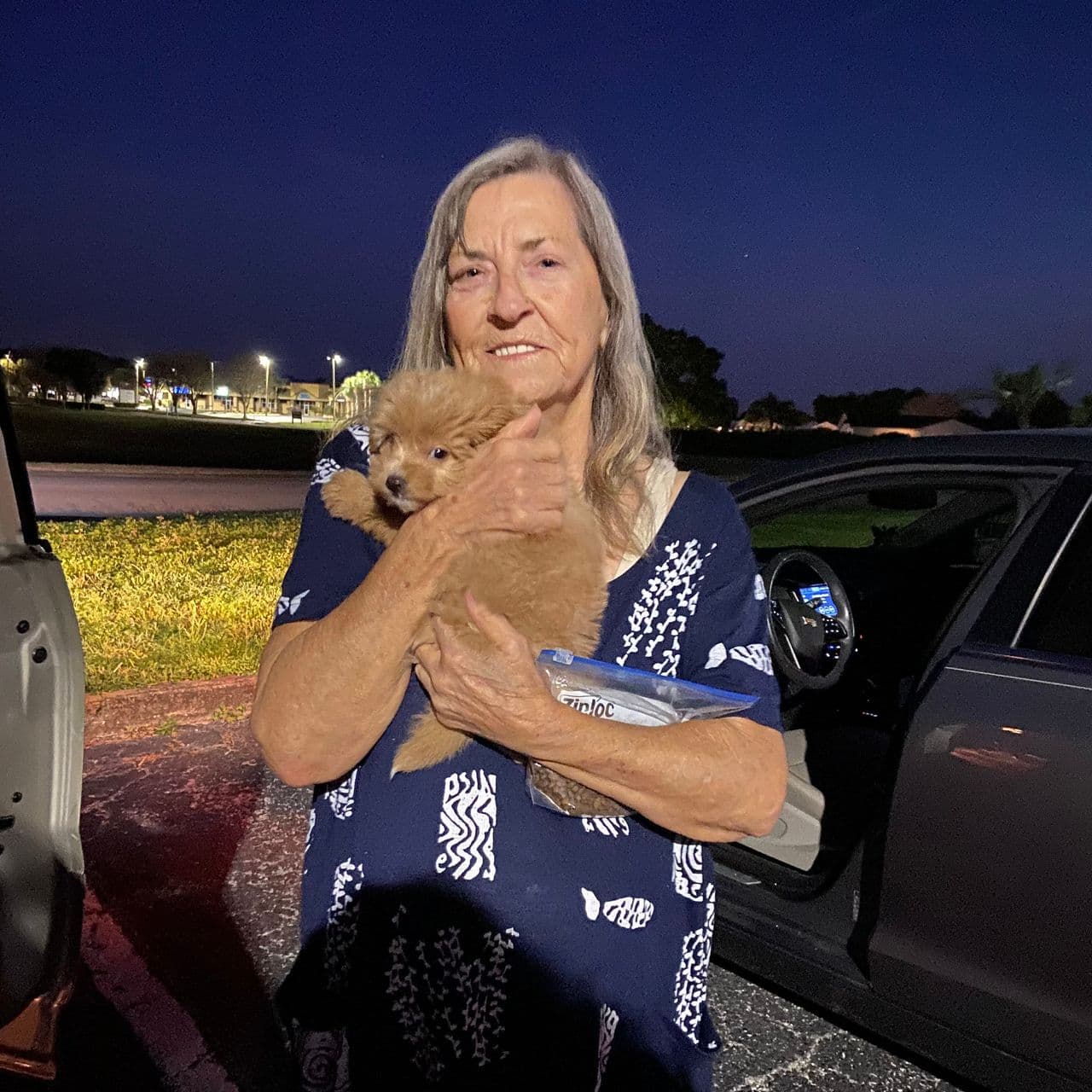 Pet travel photo 1