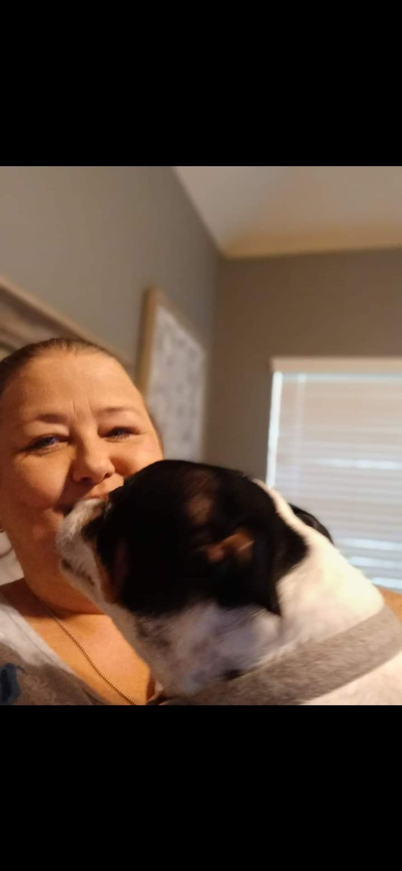 Pet travel photo 2