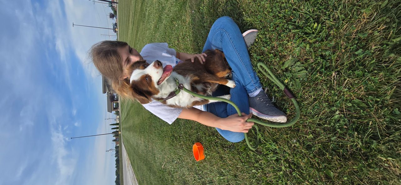 Pet travel photo 3