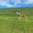 Orange, CA reviews