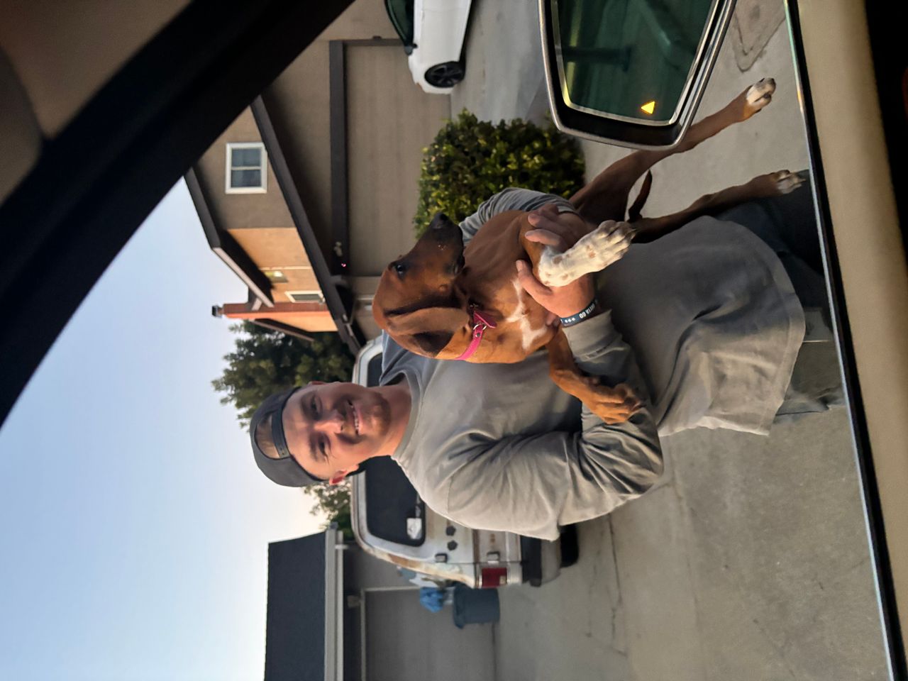 Pet travel photo 6