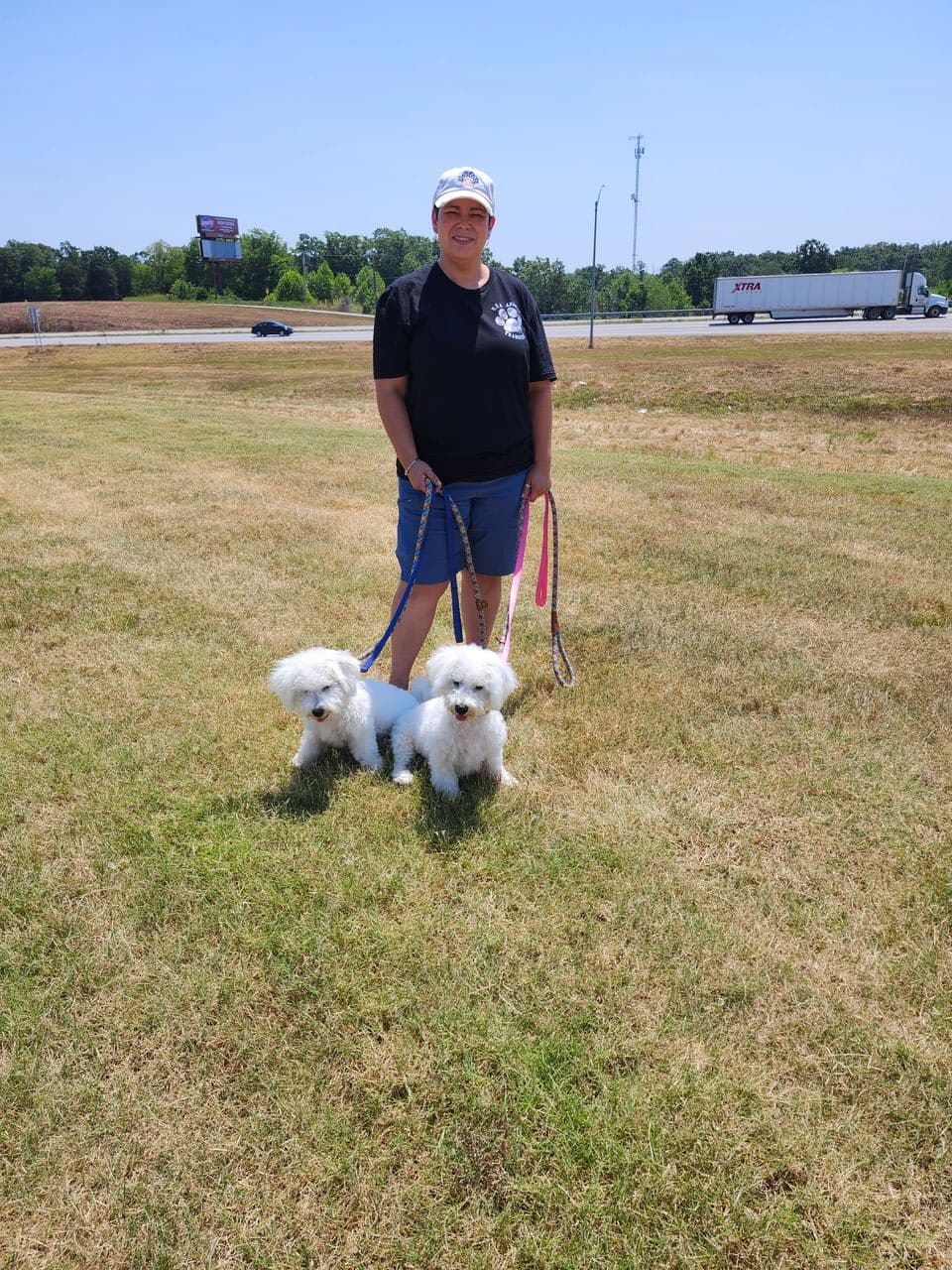 Pet travel photo 6