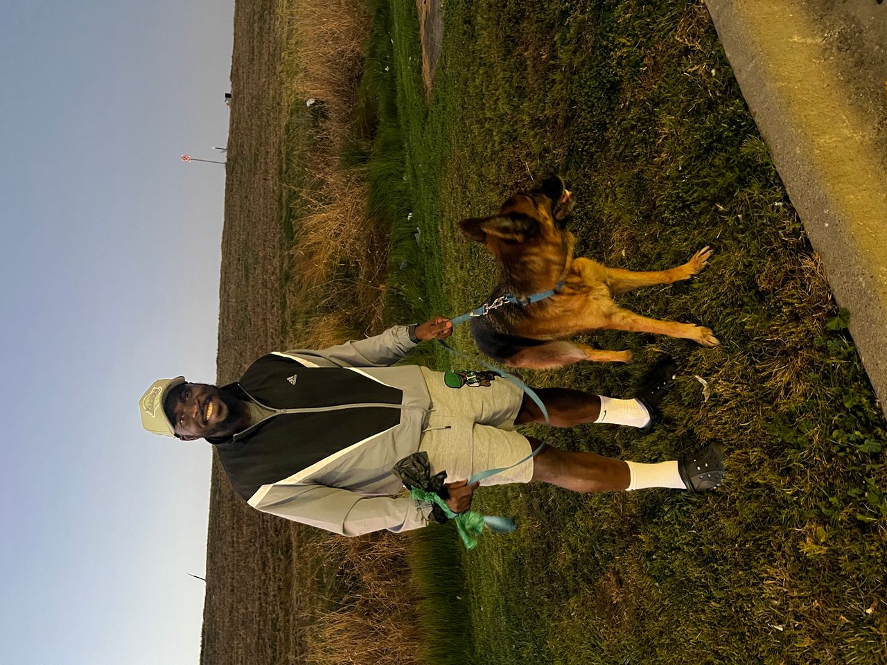 Pet travel photo 1
