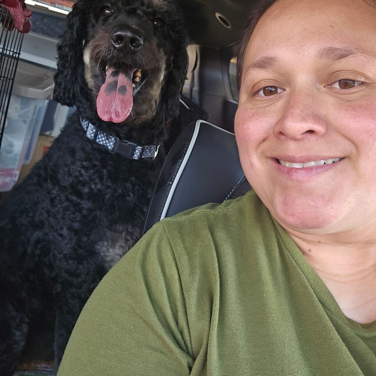 Pet travel photo 1