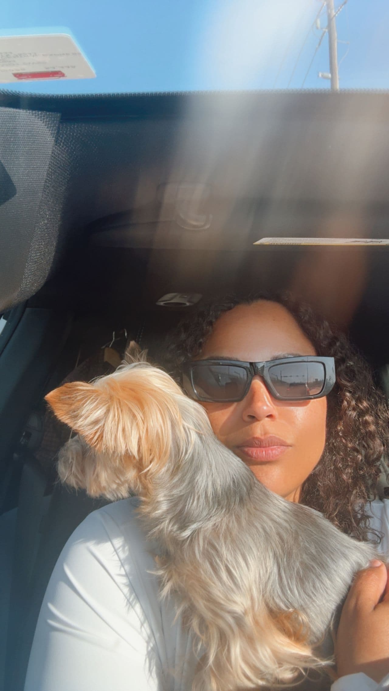 Pet travel photo 2