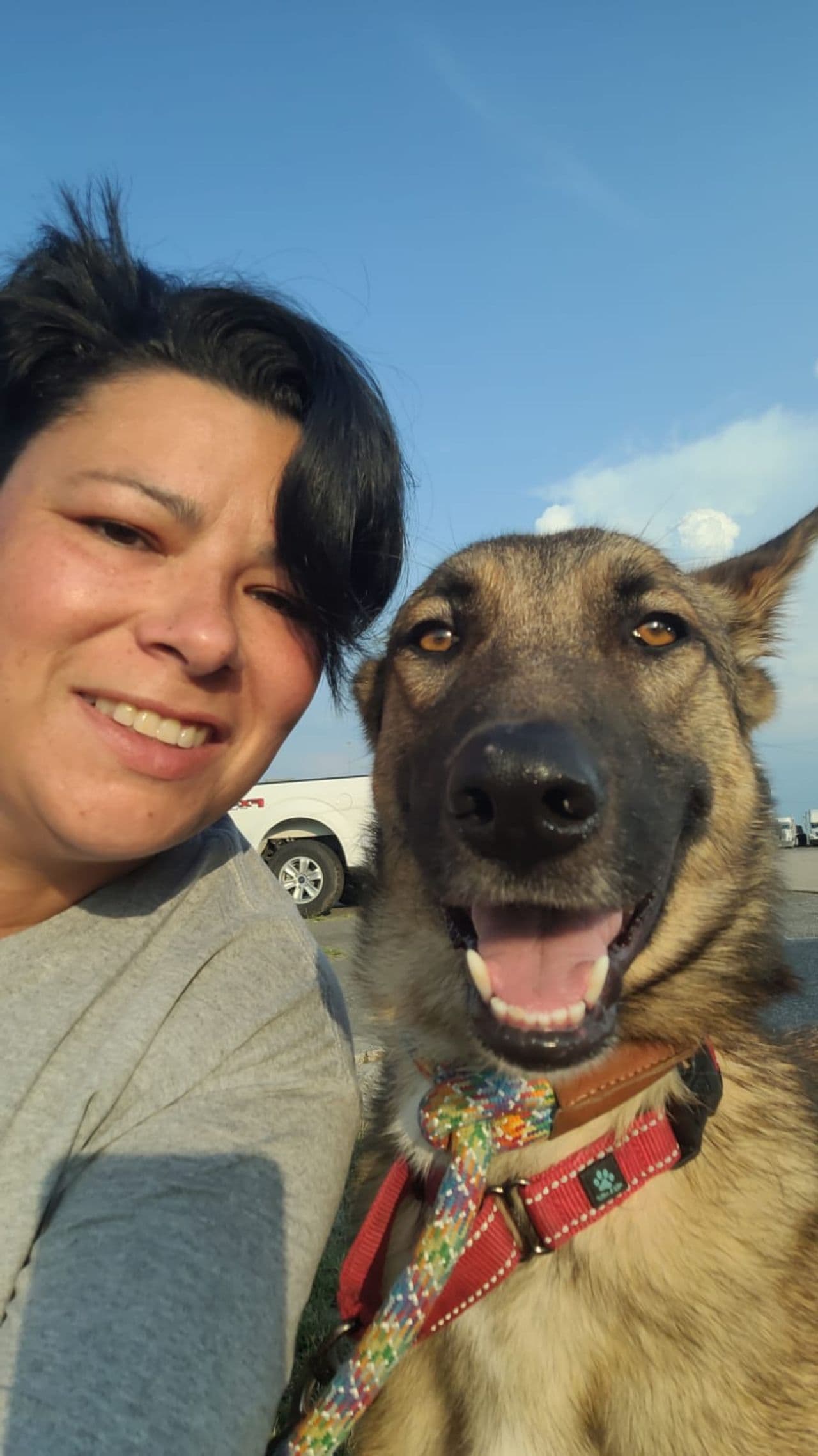 Pet travel photo 6