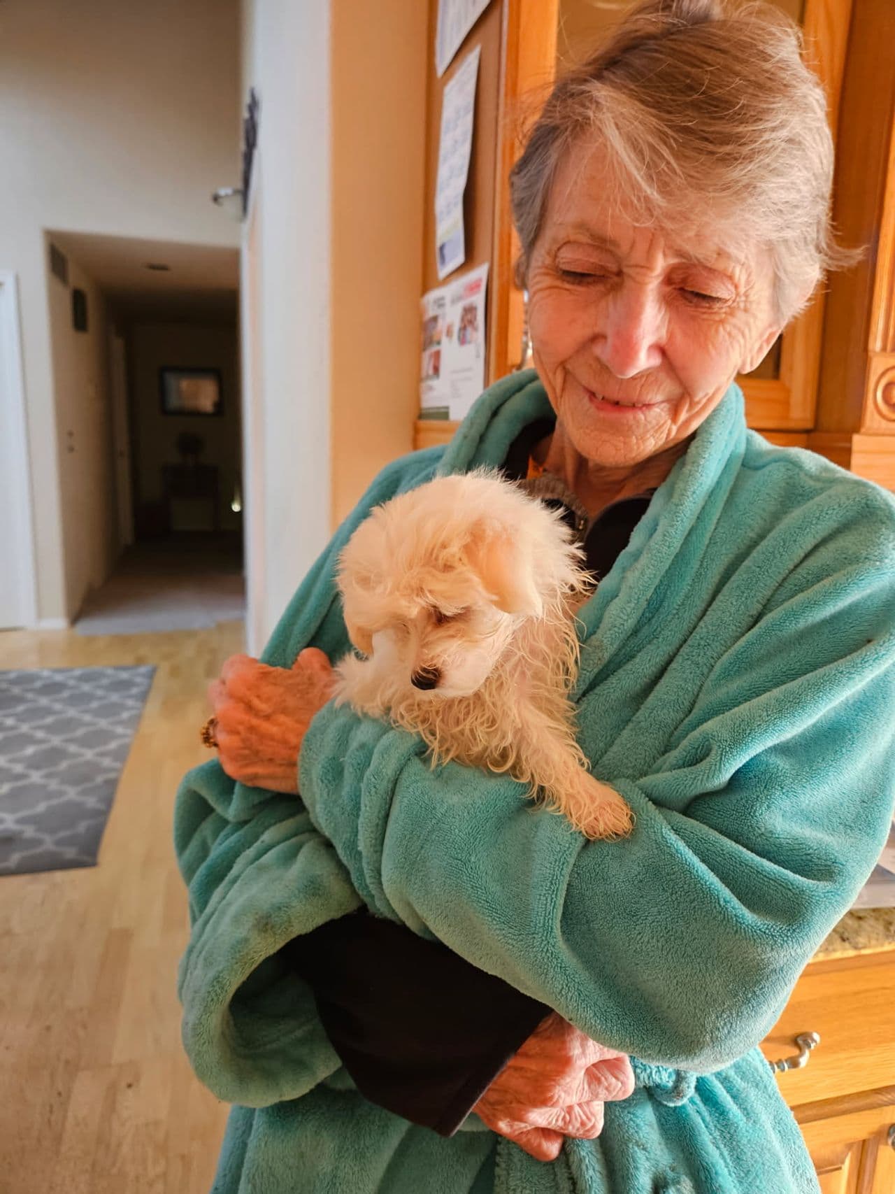 Pet travel photo 6