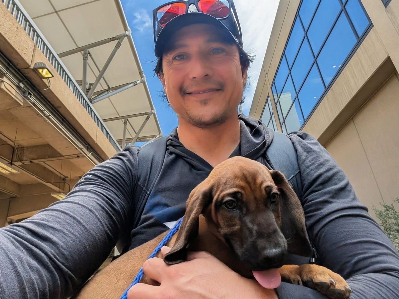 Pet travel photo 6