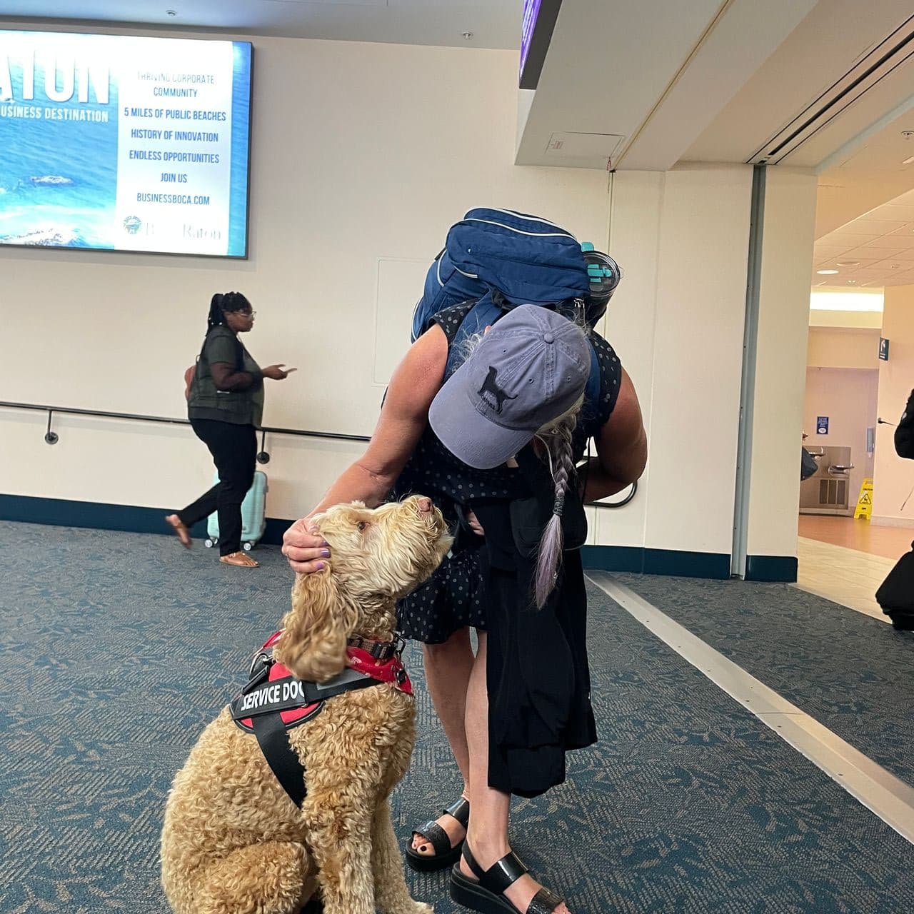 Pet travel photo 3