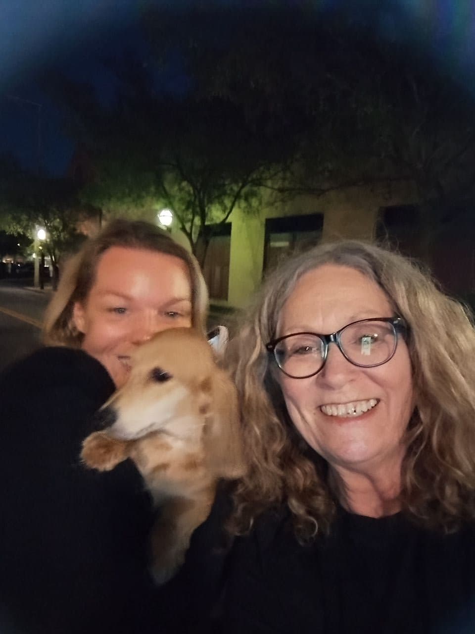 Pet travel photo 3