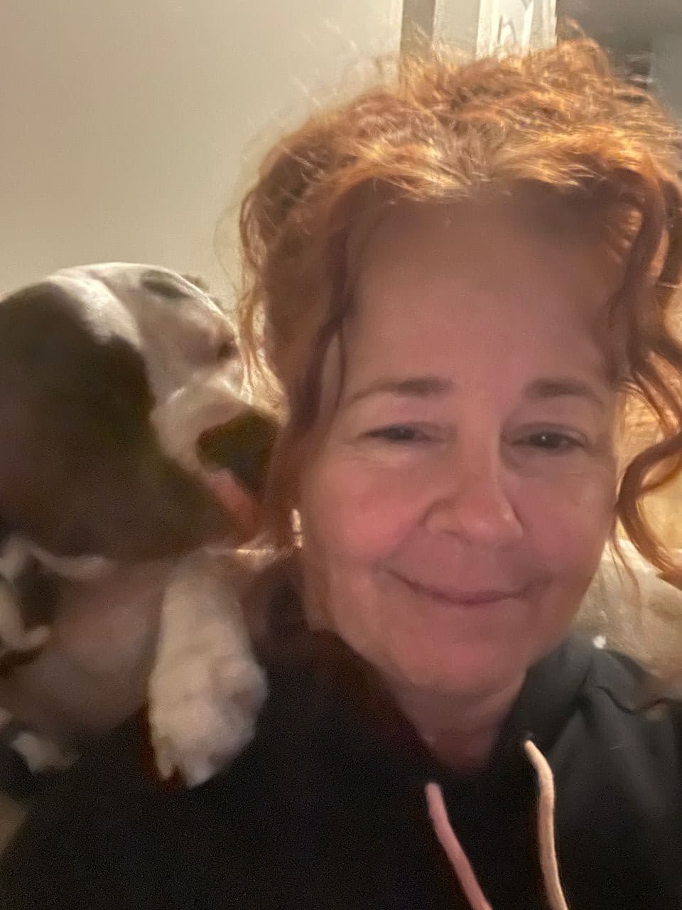 Pet travel photo 2