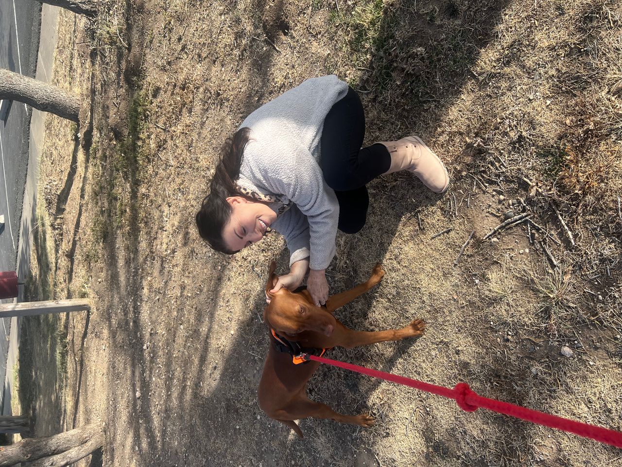Pet travel photo 2