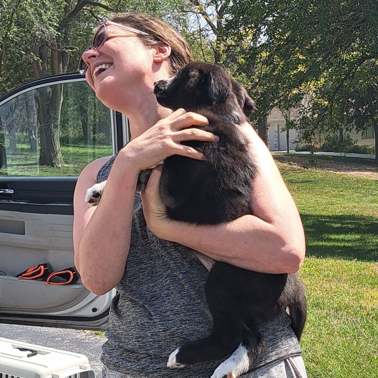 Pet travel photo 6