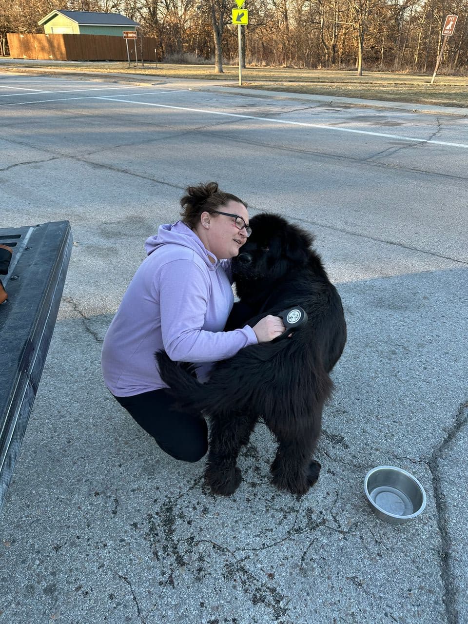 Pet travel photo 5