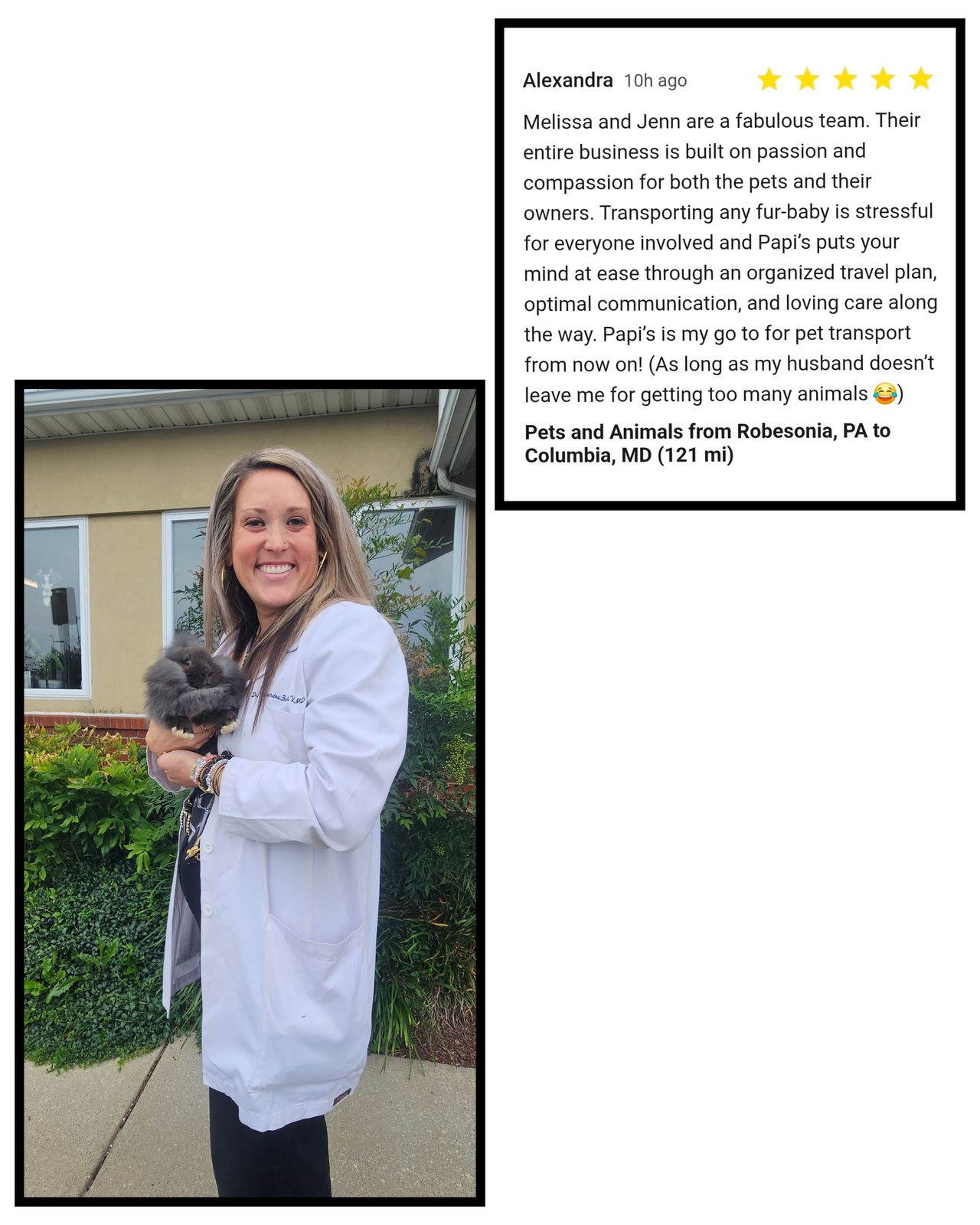 Pet travel photo 3