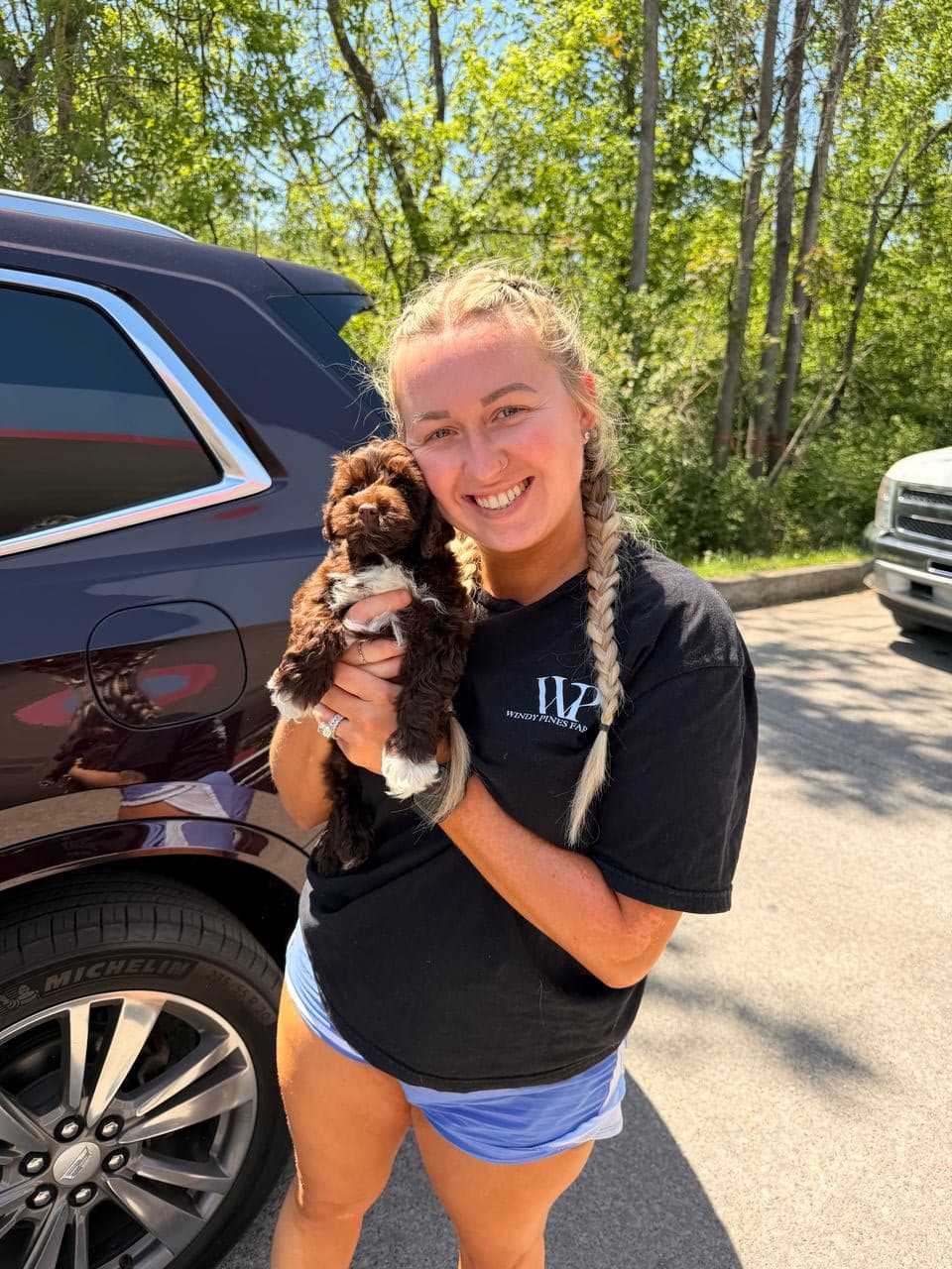 Pet travel photo 1