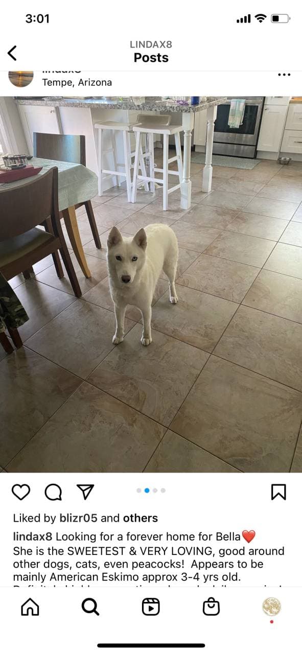 Bella