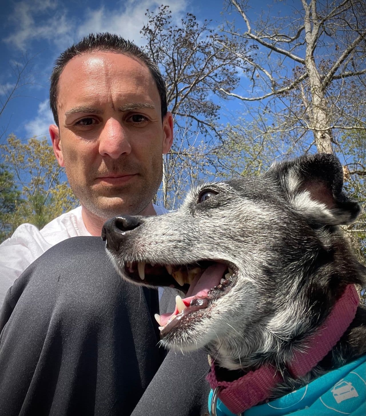 Pet travel photo 4