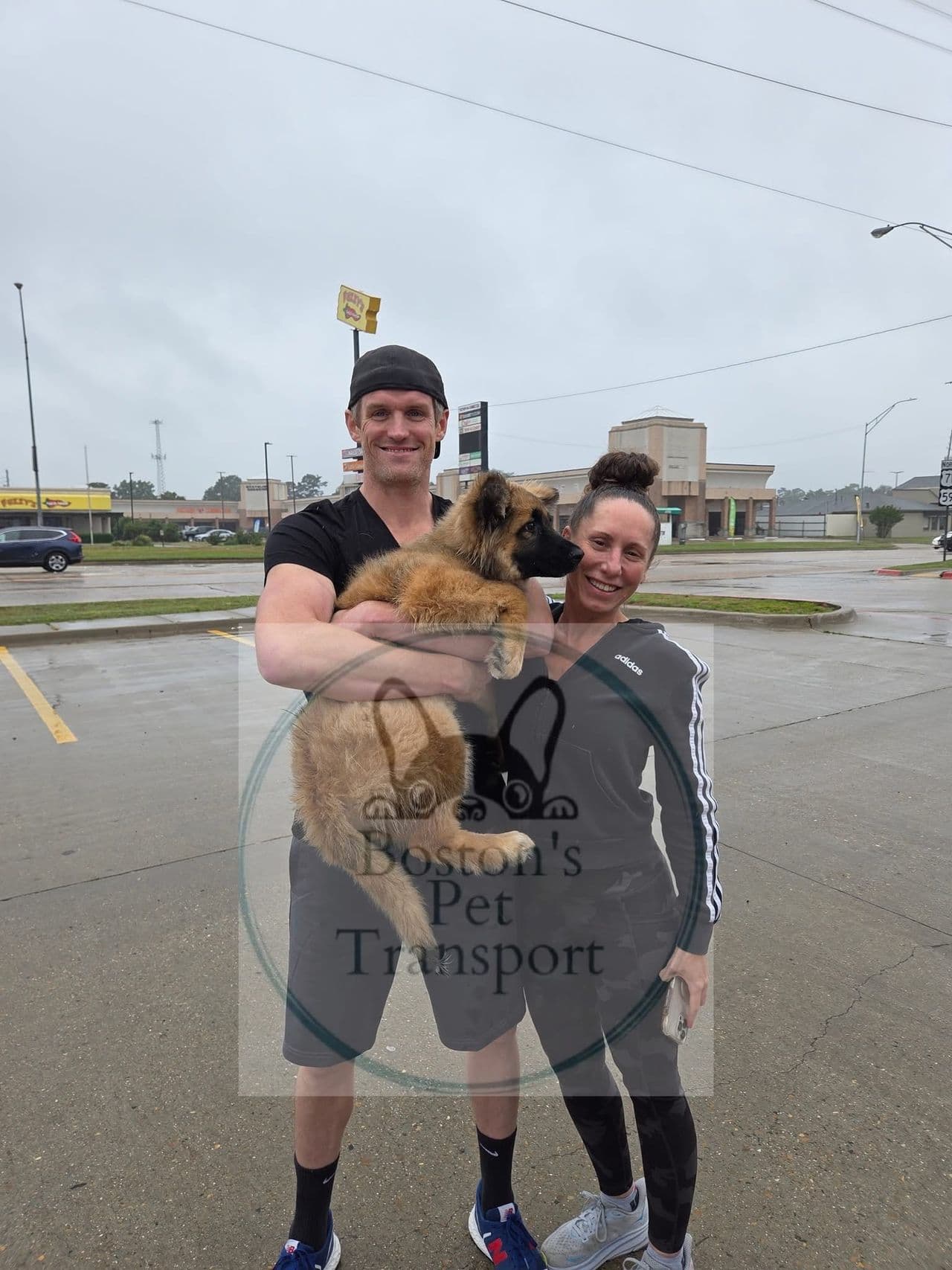 Pet travel photo 3