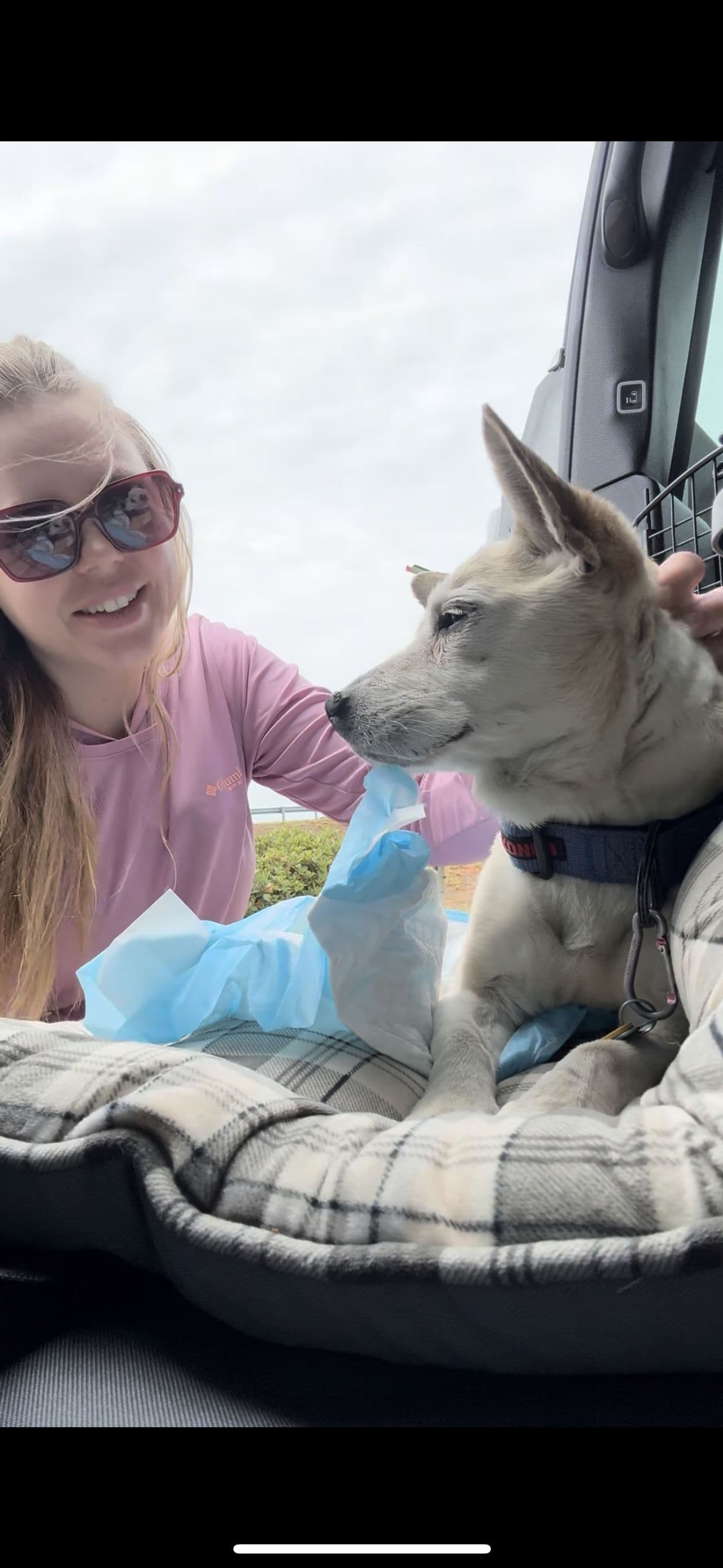 Pet travel photo 1