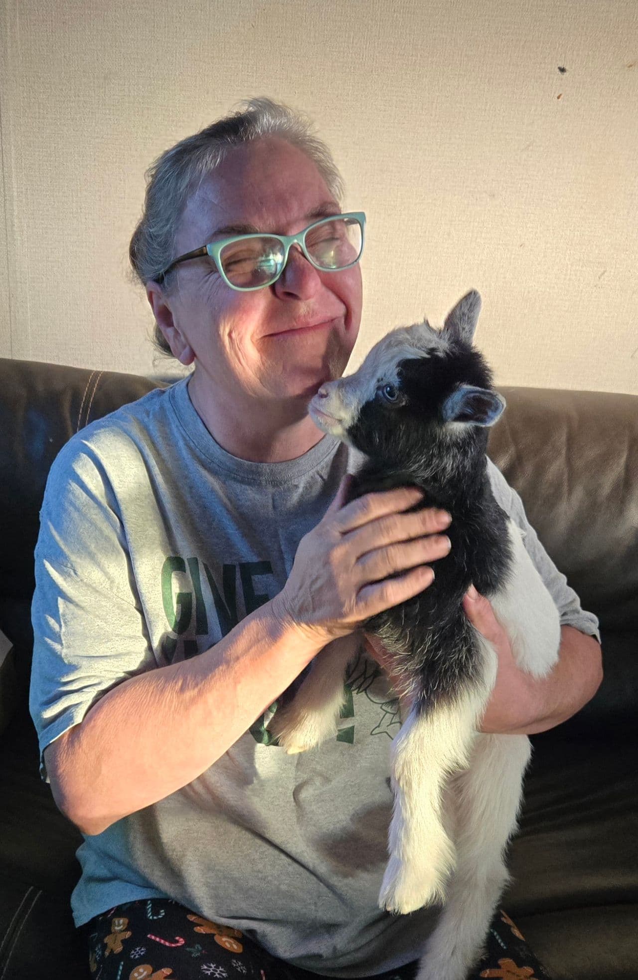 Pet travel photo 2