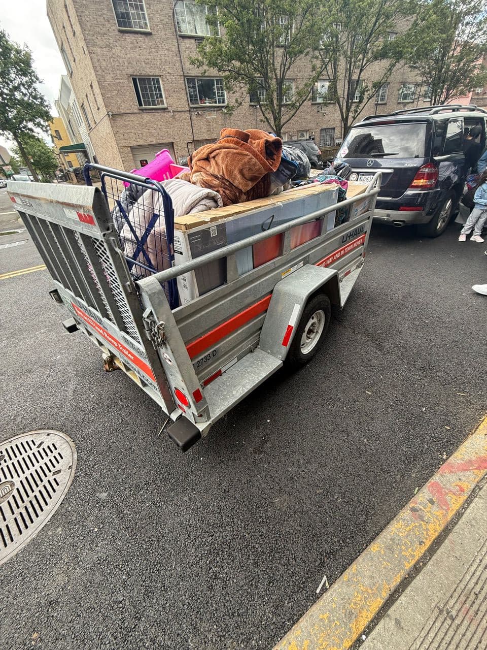 Pet travel photo 2