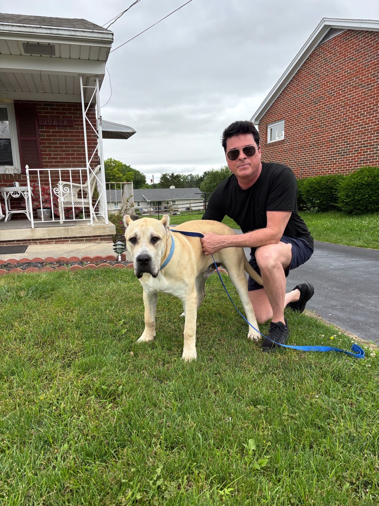 Pet travel photo 6