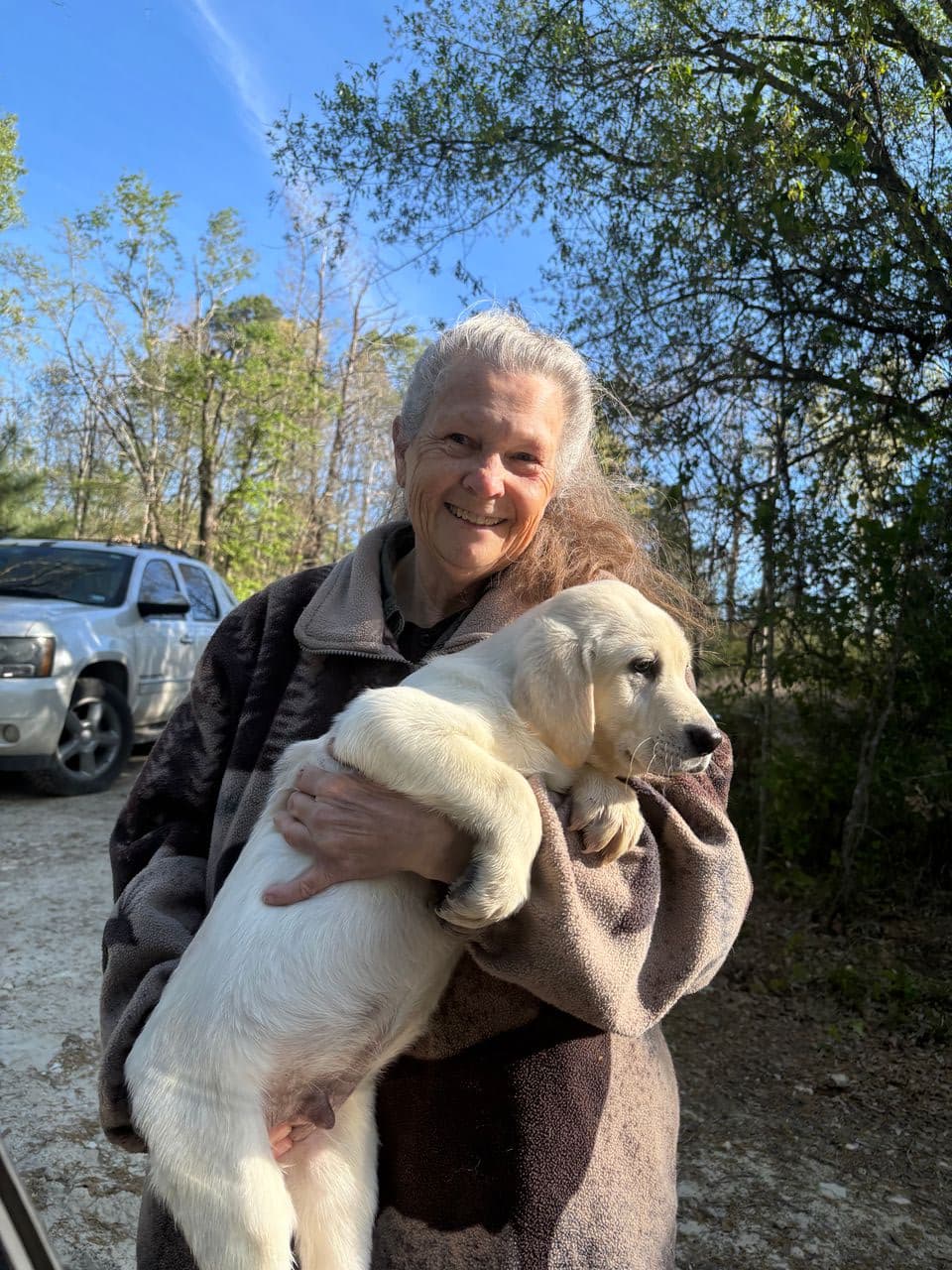 Pet travel photo 2