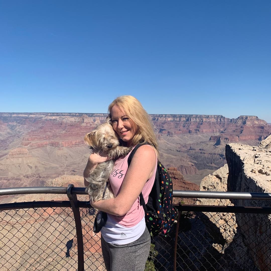 AMO Pro Pet Care & Transport
