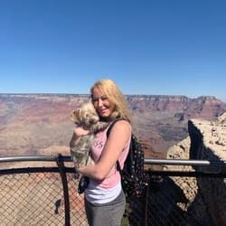 AMO Pro Pet Care & Transport