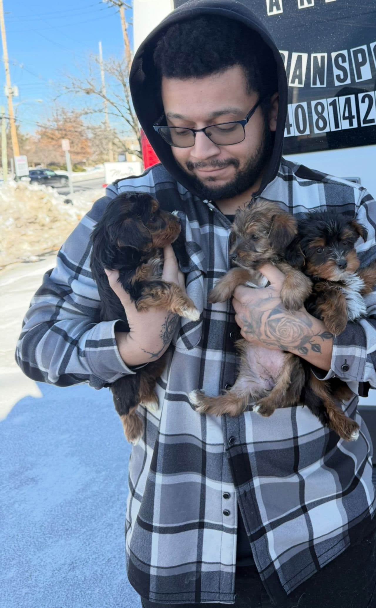 Pet travel photo 4