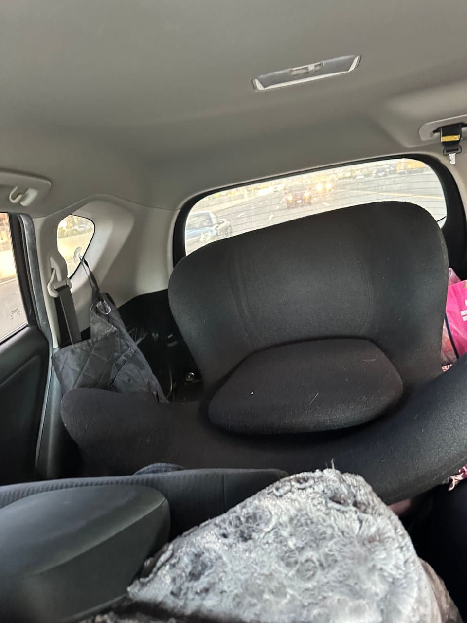 Pet travel photo 2