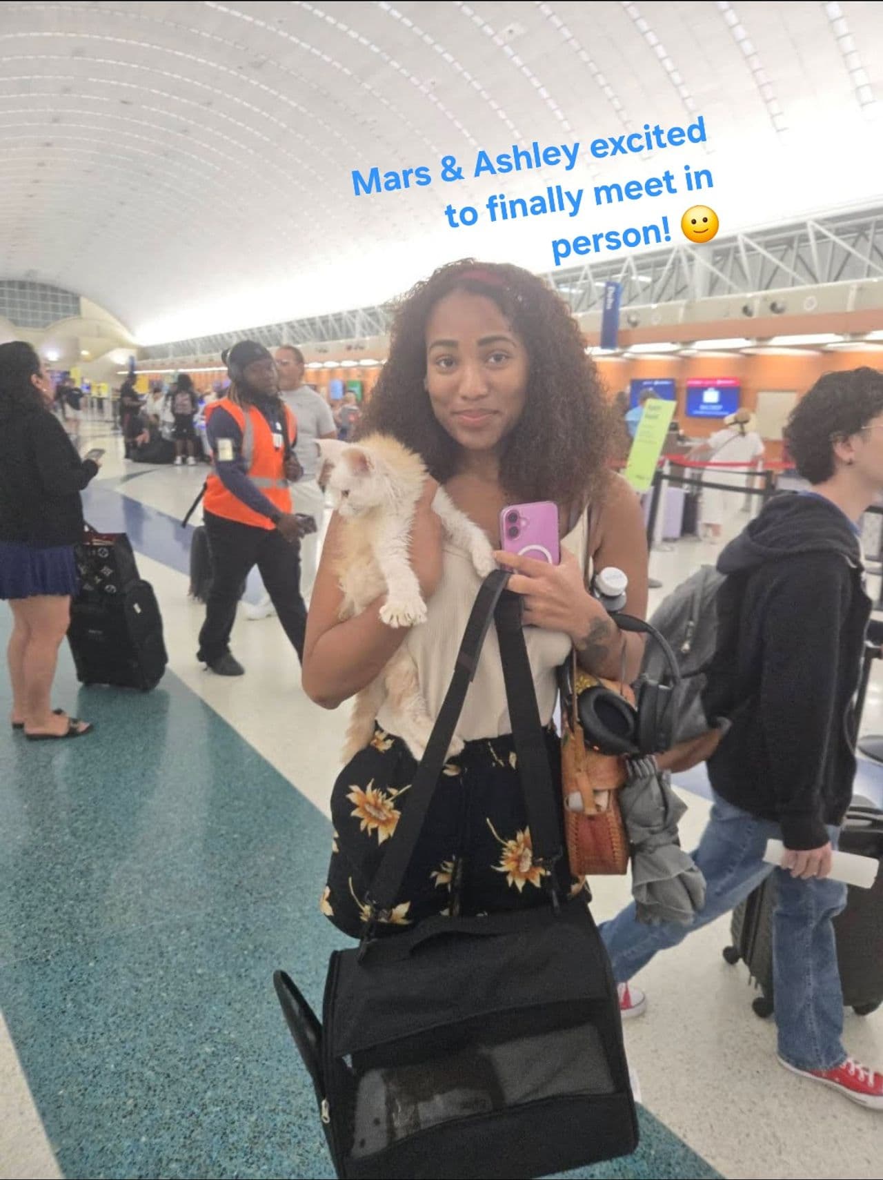 Pet travel photo 1