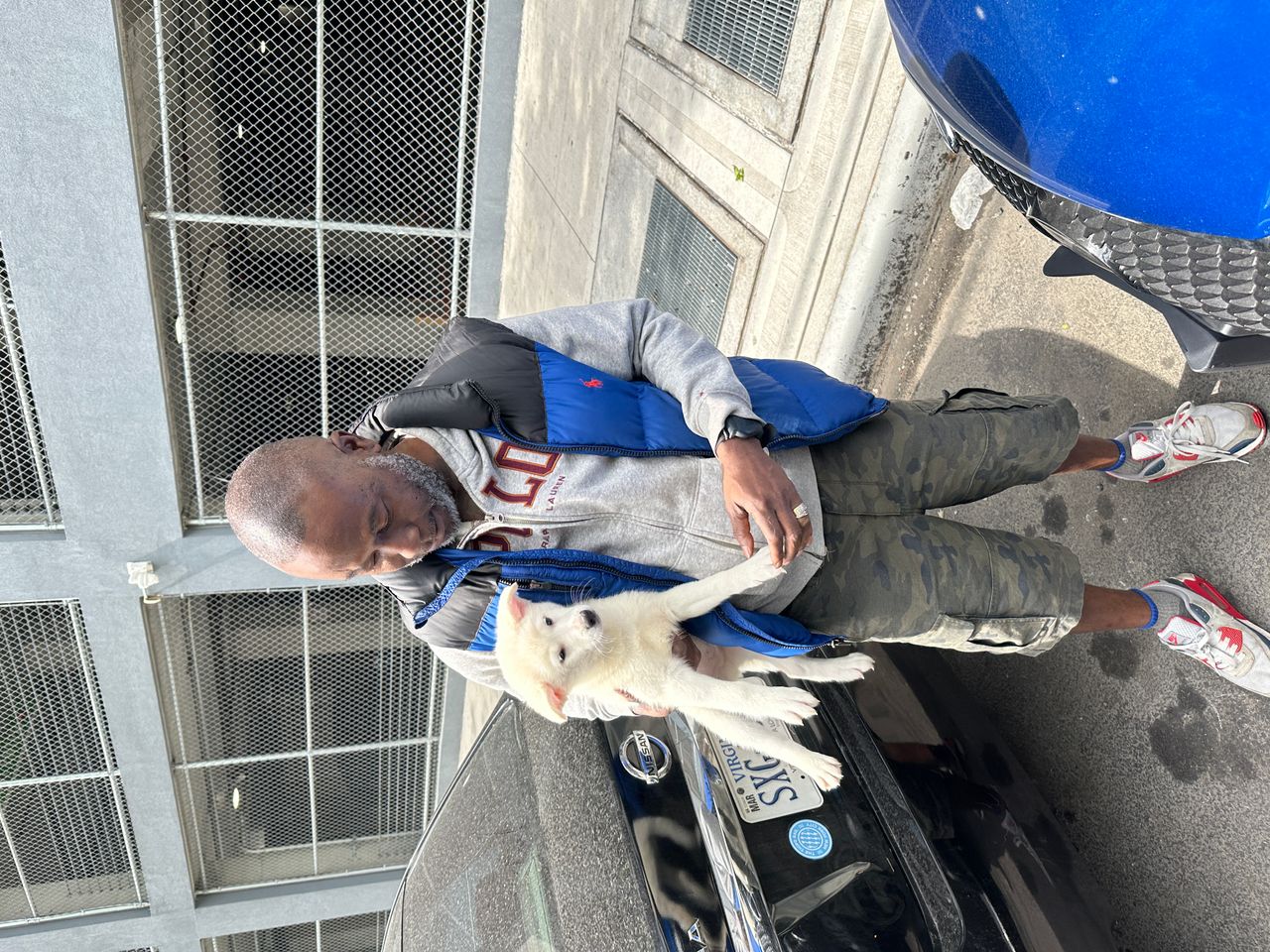 Pet travel photo 2