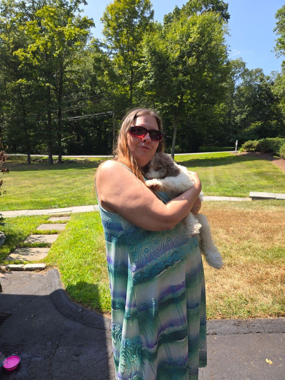 Pet travel photo 5