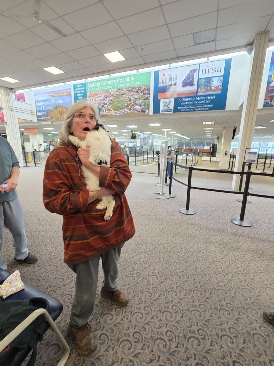 Pet travel photo 5