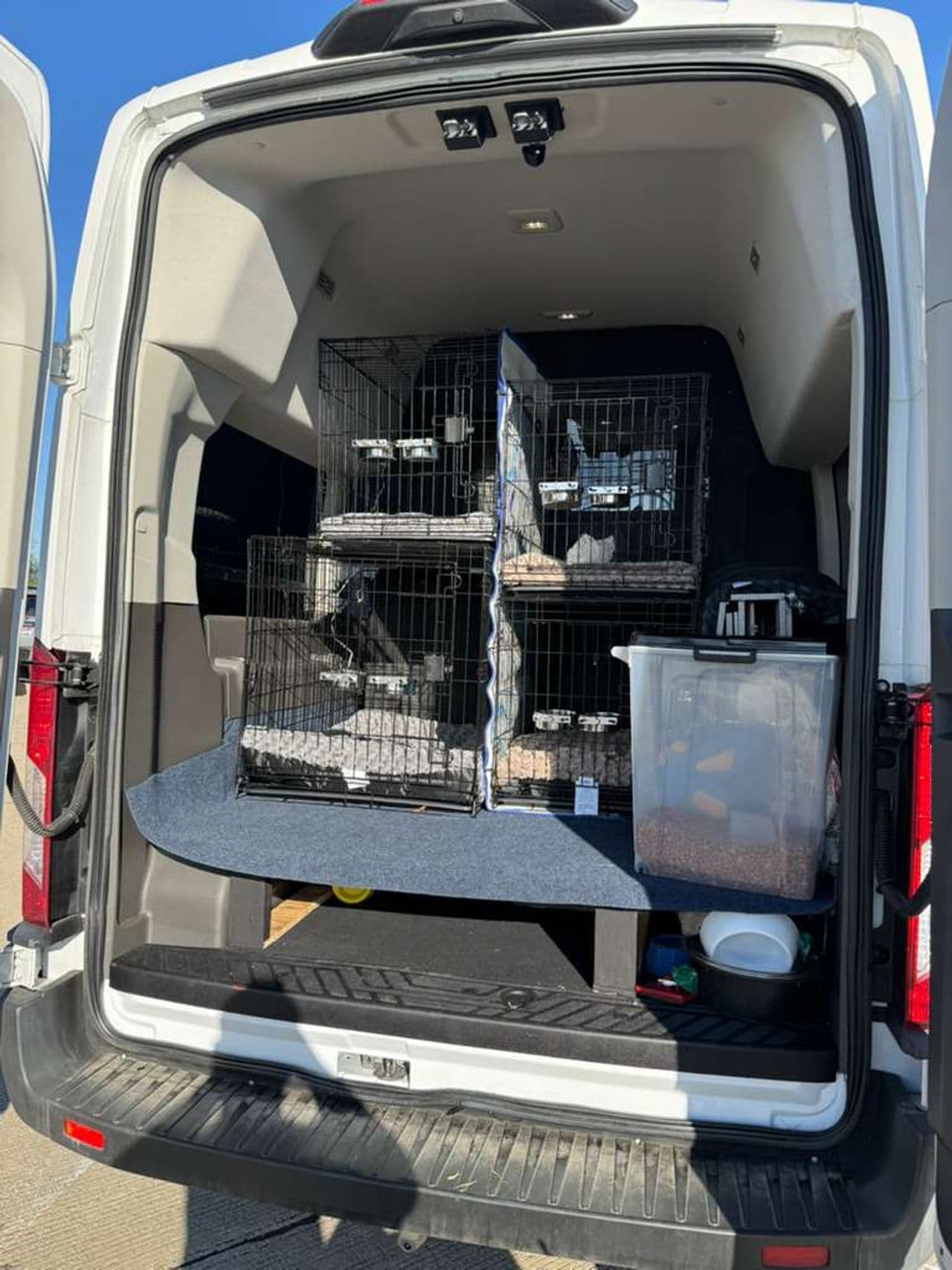 Pet travel photo 1