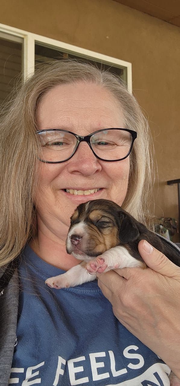 Pet travel photo 5