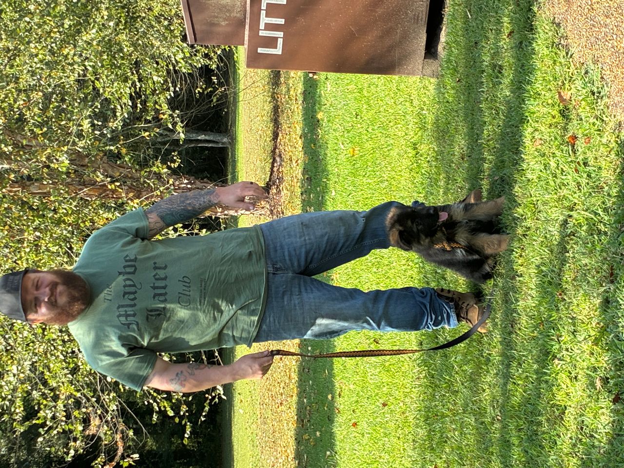 Pet travel photo 6