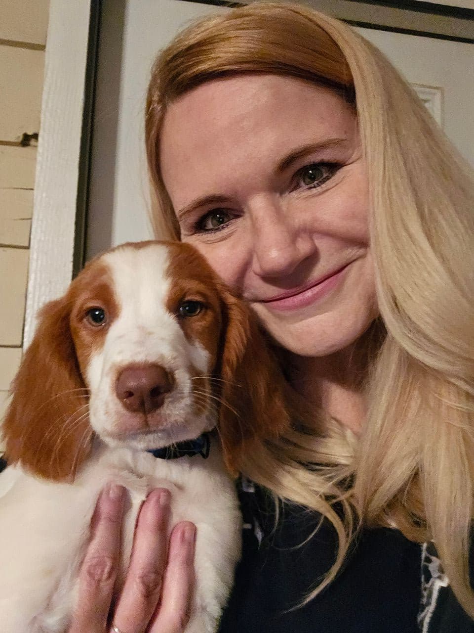 Pet travel photo 4