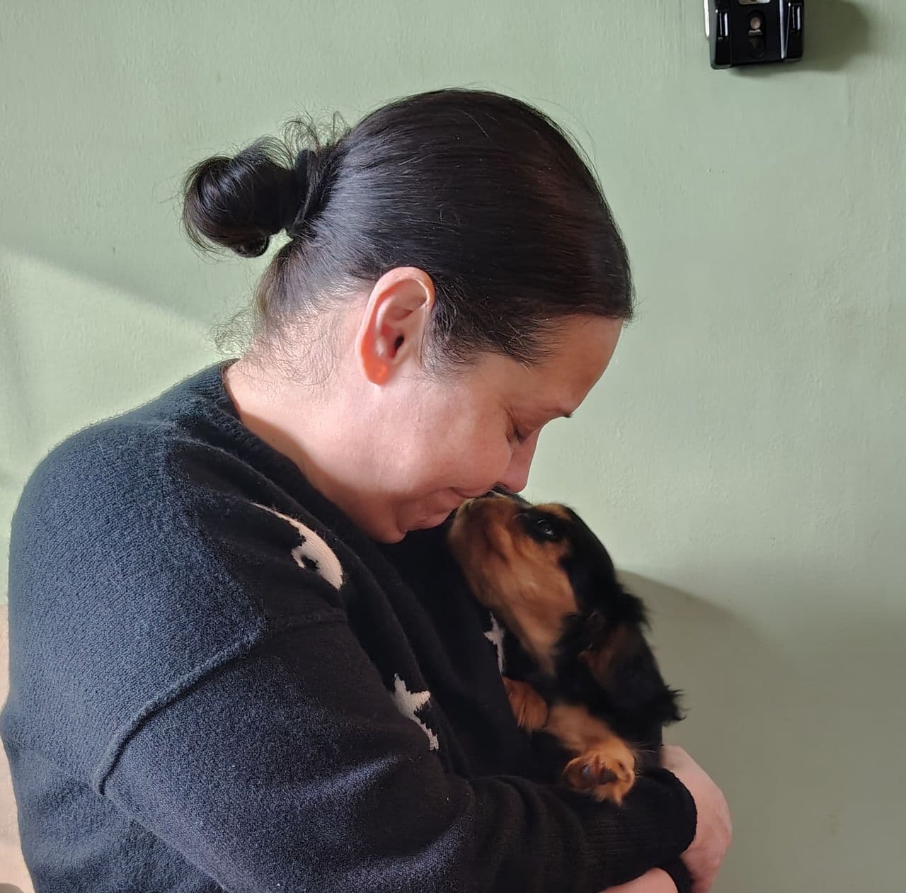 Pet travel photo 2