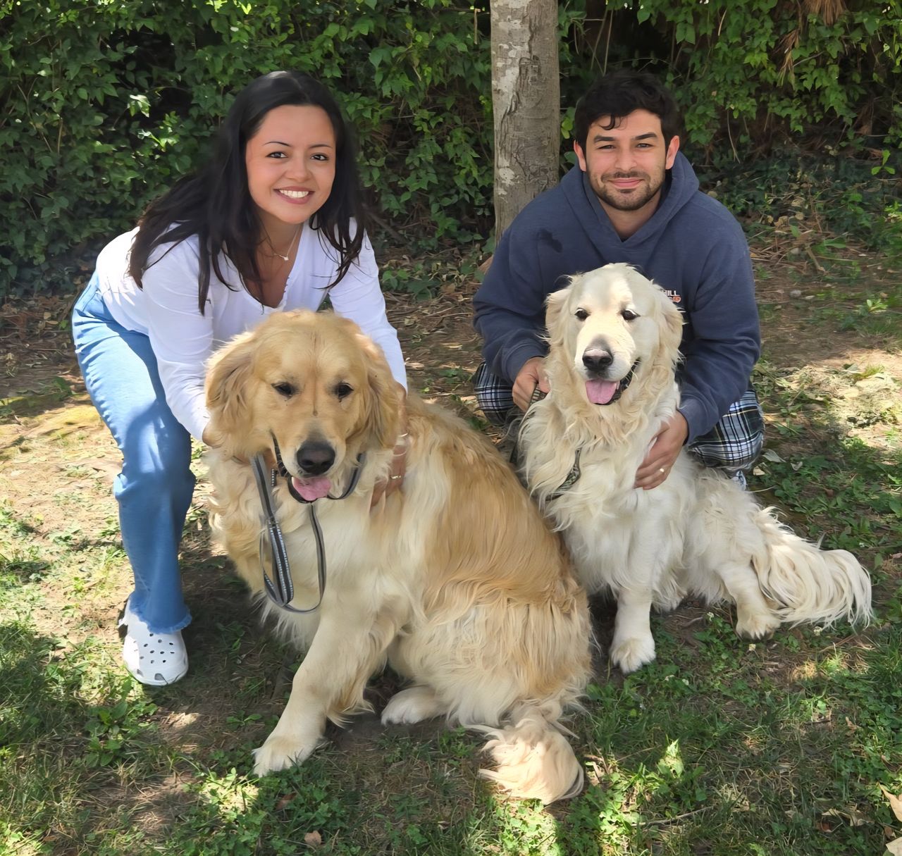 Pet travel photo 2