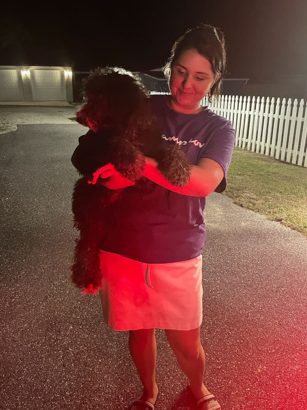 Pet travel photo 6