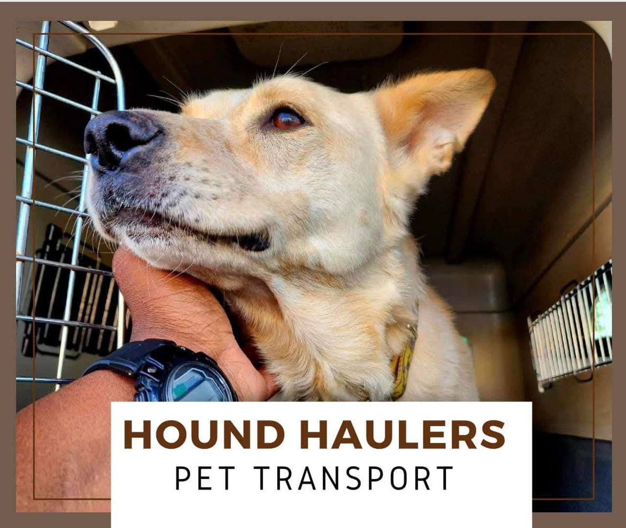 Hound Haulers Pet Transport