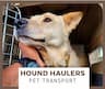 Hound Haulers Pet Transport